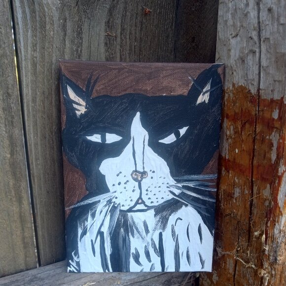 Tuxedo Cat Paining - Picture 2 of 8